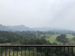 -成都蒲江花样年福朋喜来登度假酒店·宜客乐西餐厅