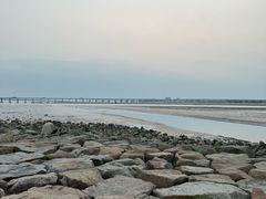 -宝安西湾红树林湿地公园