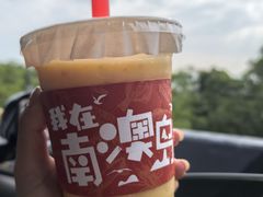 -南澳岛打卡果汁冰公司