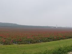 -南京枫彩漫城