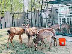 -野鸭湖国家湿地公园