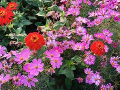 -歌斐颂巧克力小镇