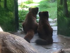 -灵玲国际马戏城