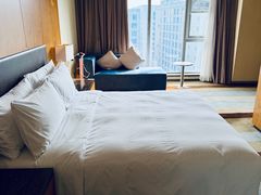 -天津滨海圣光皇冠假日酒店