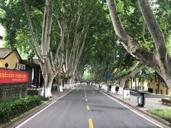 -T80科技文化国际社区-停车场