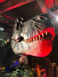 -恐龙探索乐园(磁器口店)