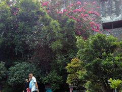 -东莞市可园博物馆