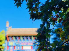-香山公园
