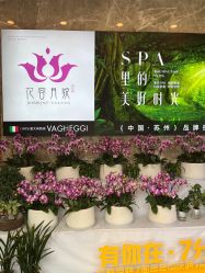 点击看大图 -阅年轻·AI家庭健康体质调理