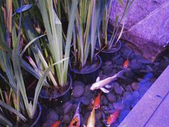 -上海外滩英迪格酒店