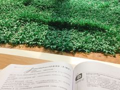 -麦当劳(南京路2店)