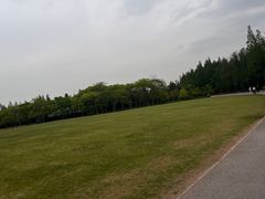 -上海滨江森林公园