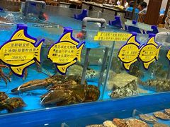 -海铺·渔家虾水饺(皇姑店)