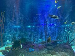 -沈阳海洋探索中心