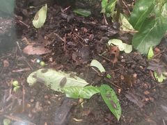 -上海昆虫博物馆