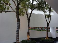 -紫马岭公园