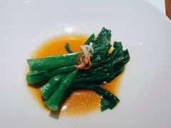 玉琅玕-觀芷隐轩