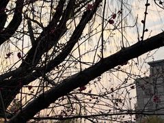 -杭州师范大学(下沙校区)