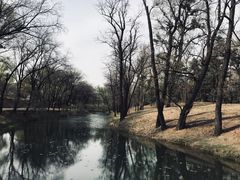 景点-承德避暑山庄景区