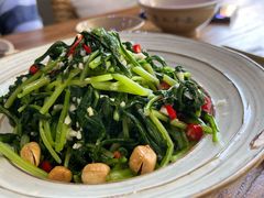 凉拌板蓝根-云上千禾(水上店)