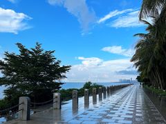 -深圳湾公园(南山区)