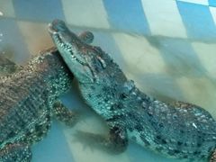 -水上乐园·欢乐世界