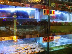 水产区-桥东喜碧海鲜街(水东街店)