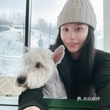 崇礼3月不滑雪🉑喝Burberry☕️攻略