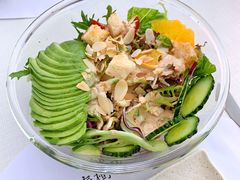 墨西哥牛油果田园沙拉-春树下·树屋花房西餐厅(罍街AS1980店)