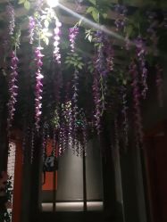 -Cocodemer 产后恢复中心(多伦路店)
