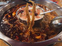 -金鼎雪山牦牛杂火锅(理县总店)