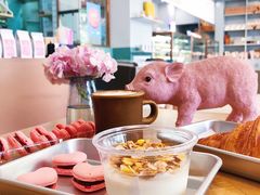 -WHEN PIGS FLY当猪飞