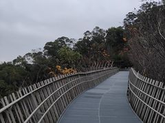 -福道