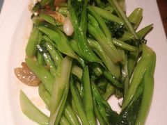 生炒广东菜心-大树餐厅(益田假日店)