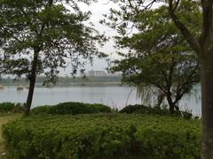 -飞来湖湿地公园