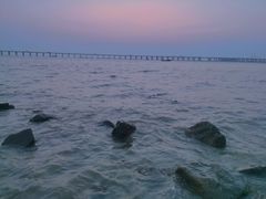 -宝安西湾红树林湿地公园