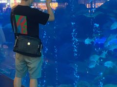 -成都浩海立方海洋公园