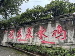 -老幺泉水鸡