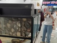 -上海昆虫博物馆