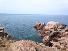 -小麦岛公园