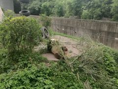 -仙芝竹尖生态园旅游景区
