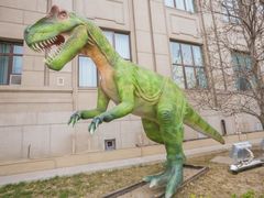 -国家自然博物馆