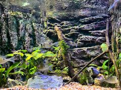 -上海海洋水族馆