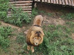 -青藏高原野生动物园