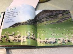-巴依老爷·新疆美食(上城区天城路店)