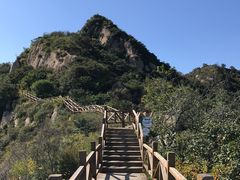 -大岭沟猕猴桃谷风景区