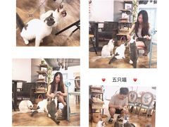 -共舞时光猫咖·狗咖(新街口店)