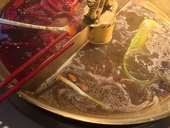 -小龙翻大江文化火锅(宽窄店)