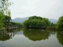 -长兴太湖图影湿地文化园
