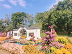 -上海共青森林公园